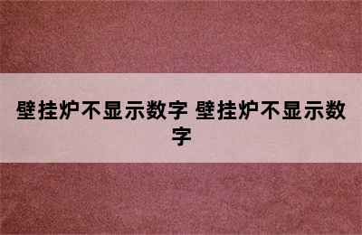 壁挂炉不显示数字 壁挂炉不显示数字